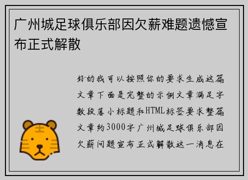 广州城足球俱乐部因欠薪难题遗憾宣布正式解散