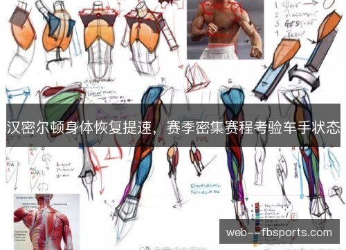 汉密尔顿身体恢复提速,赛季密集赛程考验车手状态 汉密尔顿身体恢复提速,赛季密集赛程考验车手状态